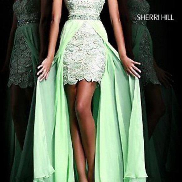 SHERRI HILL Lace & Chiffon Overlay Dress - Picture 8 of 10